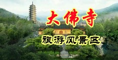 DVD无码4K岛国AV中国浙江-新昌大佛寺旅游风景区